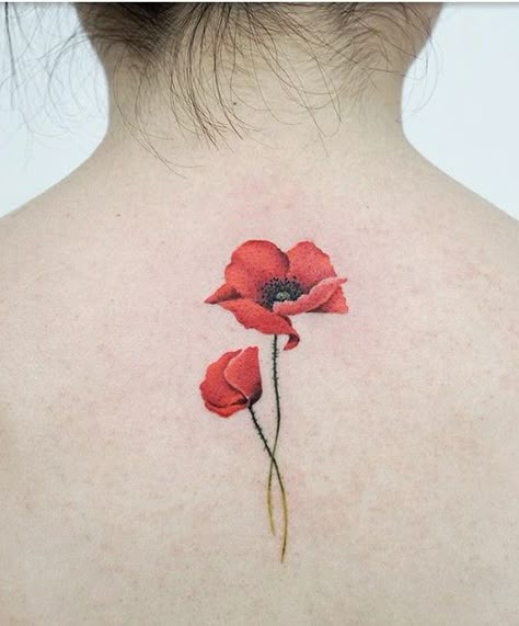 Ranunculus Fine Line Tattoo, Morning Glory Poppy Tattoo, Poppy Back Tattoo, Poppy Seed Tattoo, Mesmerizing Tattoos, Red Poppy Tattoo, Poppy Flower Tattoo, Wanderlust Tattoo, Poppy Tattoo