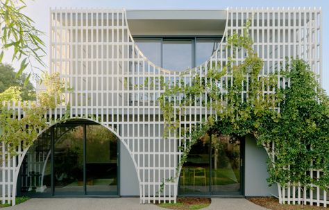 A Reservoir Home With A Productive Green Facade Modern Brick House, Front Facade, Green Facade, Public Architecture, Victorian Garden, Backyard Pergola, Landscape And Urbanism, Chicago Architecture, Cultural Architecture