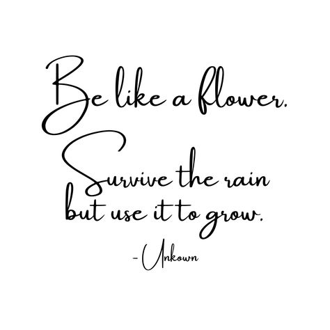 "Be like a flower.🌹 Survive the rain 🌧️ but use it o grow. 🌱" Quotes About Flowers Blooming, Grow Quote, Blossom Quotes, Flower Quotes Inspirational, Beautiful Flower Quotes, Wild Flower Quotes, Bloom Quotes, Growing Quotes, Rain Quotes