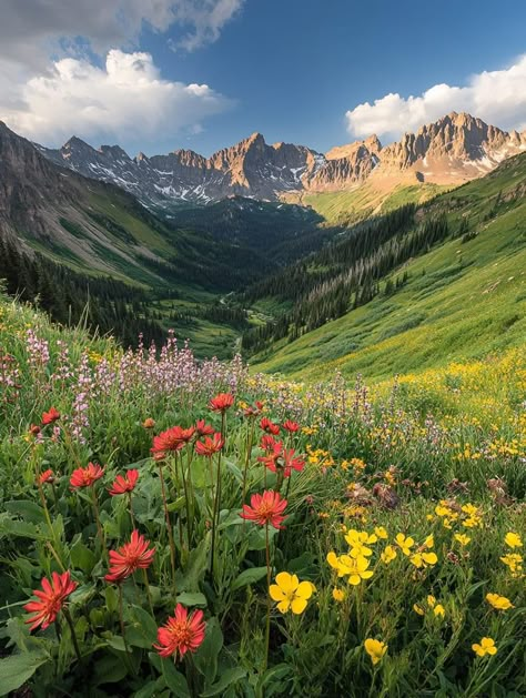 Colorado Vision Board, Colorado Springs Aesthetic, Aesthetic Colorado, Colorado Aesthetic, Colorado Photography, Colorado Trip, End Of The Road, Mountain Photos, Mountain High