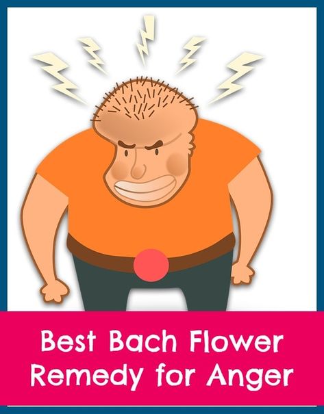 What is the best Bach flower remedy for anger? Bach Remedies, Acupressure Chart, Switch Word, Bach Flowers, Flower Remedies, Homeopathy Remedies, Bach Flower Remedies, Essential Oil Remedy, Flower Remedy