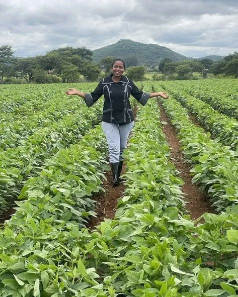 AGRICULTURE should not be looked at just as a Way of Life but much as as Way of Profit Making. #InvestWisely❗ Agriculture Photography, Agriculture Photos, Farming Ideas, Farm Land, Hydroponic Gardening, A Way Of Life, Future Life, Inspiration Art, Zambia