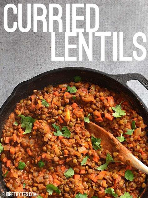 Curried Lentils - Budget Bytes Curried Lentils, Budget Bytes, Lentil Curry, Lentil Recipes, Frugal Meals, Meatless Meals, Cheap Meals, Vegan Dishes, Eating Healthy