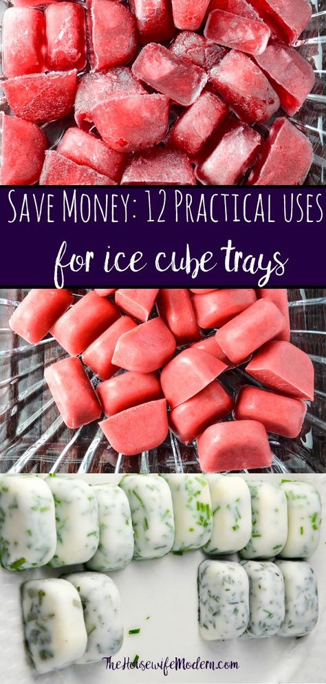 Ice Cube Tray Hacks, Ice Cube Tray Recipes, Freezing Herbs, Cooking Courses, Cooking Homemade, Money Saving Meals, Money Save, Ice Cube Trays, Cooking Inspiration