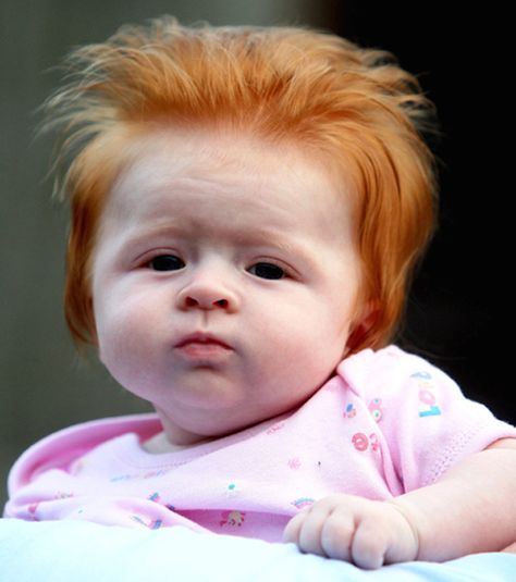 Do you think were here to amuse you? | Why You Really Shouldnt Mess WithRedheads Ginger Kids, Funny Baby Faces, Ginger Babies, Funny Baby Pictures, Baby Faces, Trendy Baby, Ginger Hair, Jesus Loves, Funny Babies