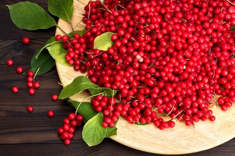 ​Schisandra Berry: Your Secret Weapon for Lower Stress, Healthier Hormones & Insane Energy #30secondmom Best Cleanse, Detox Your Liver, Healthy Hormones, Dried Berries, Toxic Foods, Adaptogenic Herbs, Dried Herbs, Best Diet Plan, Liver Detox