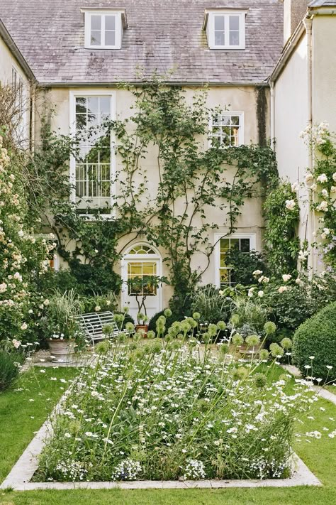 Batcombe House: The 'essential Somerset garden' with a gloriously wild display of flowers, a relaxed atmospheric landscape and an unexploded WW2 shell in one of the borders - Country Life Have Inspiration, Climbing Roses, Flowers Wallpaper, White Gardens, English Cottage, Terrace Garden, Garden Cottage, Country Gardening, English Garden