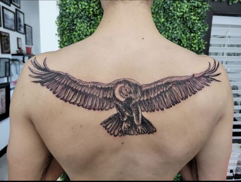 Ecuador Tattoo Ideas, Falcon And Snake Tattoo, Ecuador Tattoo, Andean Condor Tattoo, Andean Condor Tattoo Design, Condor Tattoo, Andean Condor Art, Andean Condor, White Tattoos