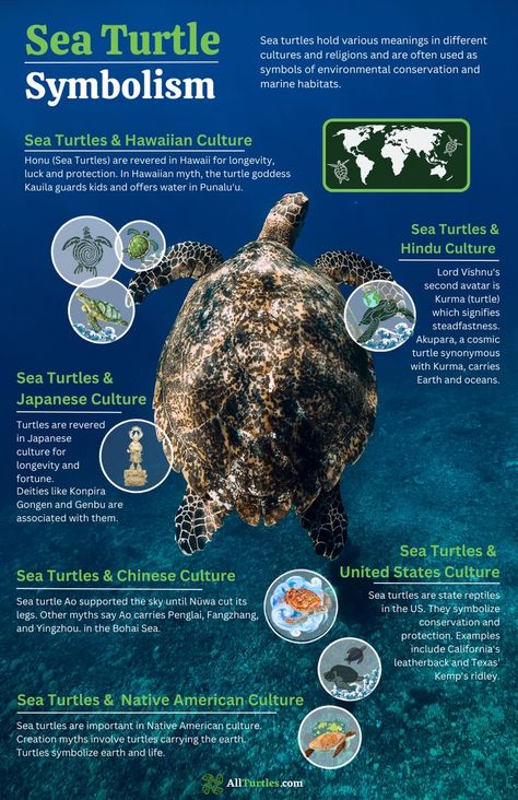 Turtle Meaning, Turtle Spirit Animal, Turtle Symbolism, Giant Sea Turtle, World Turtle, Spirit Animal Meaning, Animal Meanings, Loggerhead Sea Turtle, Marine Creatures