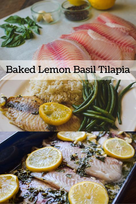 Baked Lemon Basil Tilapia - A Quaint Life Tilapia Baked, Tilapia Dishes, Baked White Fish, Frozen Tilapia, Oven Baked Fish, Mango Salsa Salmon, Baked Tilapia, Lactose Free Recipes, Basil Recipes