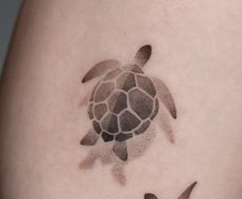 Sea Turtle Tattoo Behind Ear, Turtle Tattoo Behind Ear, Turtle Reference, Tattoo Behind Ear, Sea Turtle Tattoo, Turtle Tattoo, Tattoo Idea, Sea Turtle, Tatting