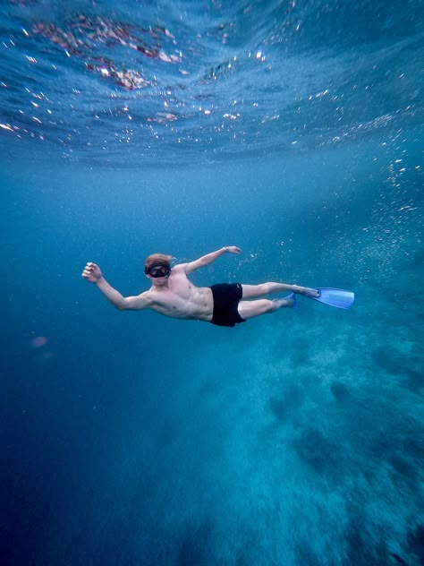 Person Underwater, Gili Trawangan, Gili Island, Underwater Photos, Scuba Diver, Action Poses, Public Domain Images, Man Photo, 인물 사진