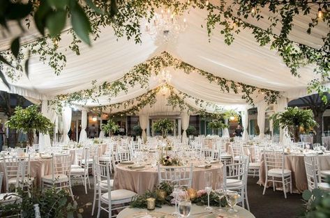 Wedding Venues Washington State, Wedding Checklists, Seattle Wedding Venues, Washington Wedding Venues, Wedding Ceiling, Wedding Reception Locations, Waterfront Wedding, Wedding Tent, Beautiful Wedding Venues