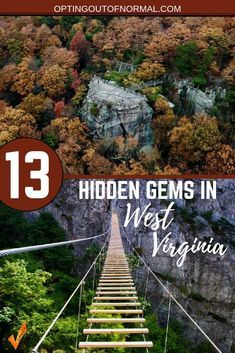 West Virginia Travel Things To Do In, Appalachian Road Trip, Best Places To Visit In West Virginia, Northeast Us Travel Destinations, Places To Visit In West Virginia, Clarksburg West Virginia, Davis West Virginia, Road Trip Adults, Things To Do In West Virginia