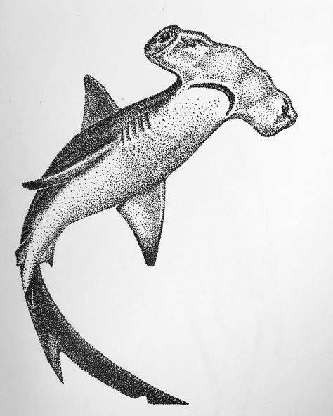 Shark Tattoo Dotwork, Cool Drawings Tattoo, Shark Ink Drawing, Animal Stippling Art, Hammerhead Shark Tattoo Ideas, Hammerhead Shark Design, Shark Pen Drawing, Hammerhead Shark Drawing Sketches, Cool Shark Drawings