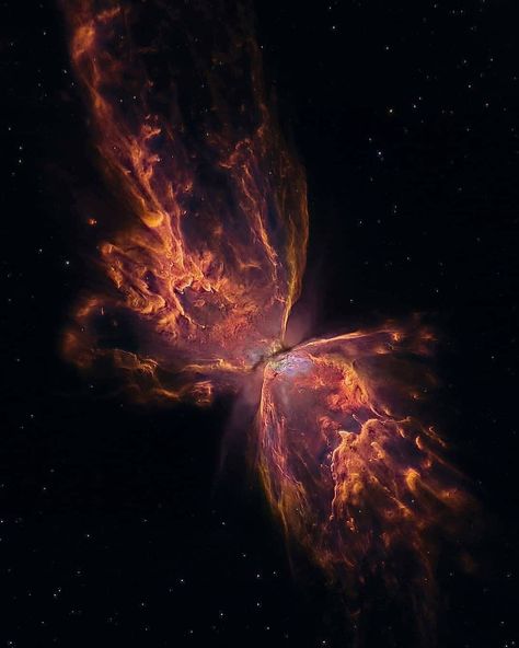 💥🦋 The Butterfly Nebula 🌀💕 Wolf Workout, Nasa Space Pictures, Butterfly Nebula, Cosmos Galaxy, Planetary Nebula, Nasa Mars, Hubble Images, Hubble Telescope, Whirlpool Galaxy