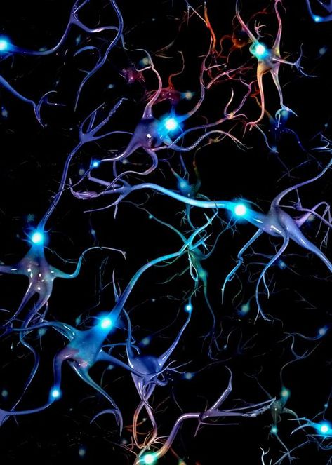 Neurons - rolffimages #neurons #scifi #scifiart #sciencefiction #art Neurons Aesthetic, Neurology Aesthetic, Neurons Art, Neuron Art, Neurons Firing, Nanotechnology Art, Neuroscience Art, Neurology Art, Brain Neurons