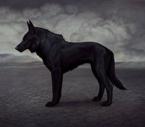 Demon Wolf, Shadow Wolf, Fantasy Wolf, Canine Art, Wolf Spirit, Anime Wolf, Wolf Dog, Black Wolf, Character Reference