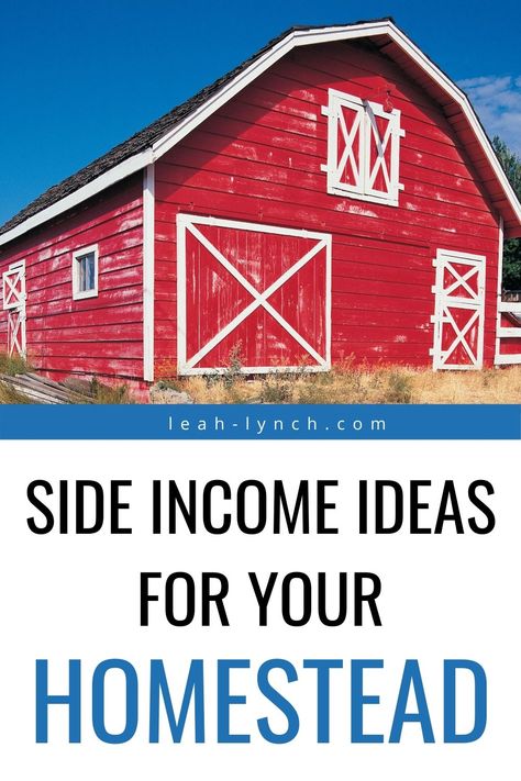 Farm Money Making Ideas, Farm Side Hustles, Farm Income Ideas, Homestead Income Ideas, Homestead Side Hustle, Hobby Farm Ideas, Make Money Homesteading, Side Income Ideas, Urban Farms