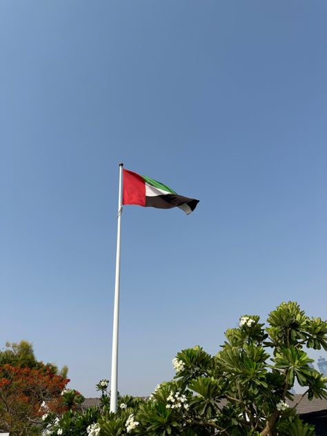 Uae Flag, Flag