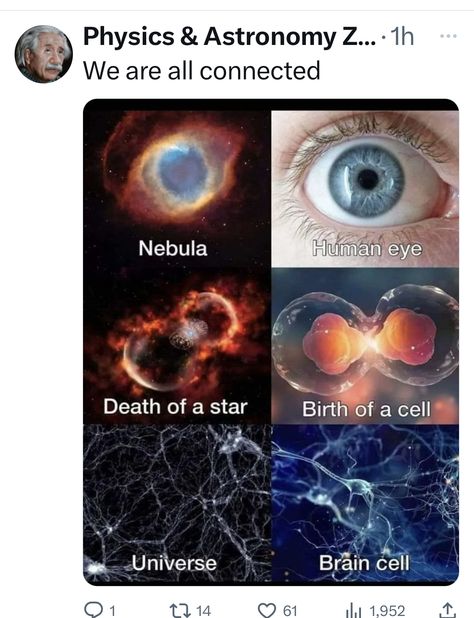 Astrophysics Aesthetic, Spacecore Aesthetic, Psychological Facts Interesting, Astronomy Facts, Astronomy Science, Cool Science Facts, Pretty Star, E Mc2, Quantum Physics