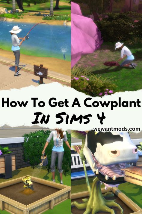 how to get a cowplant in sims 4 Sims Gameplay Ideas, Sims 4 Gameplay Ideas, Sims 4 Legacy Challenge, Sims 4 Legacy, Legacy Challenge, Sims Gameplay, Sims 4 Decades Challenge, Sims 4 Gameplay, Sims 4 Houses