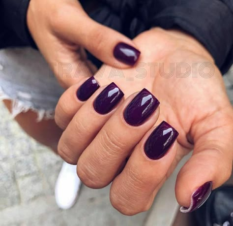 Nail Art Designs 2023, Brush Techniques, Purple Gel Nails, Home Nail Art, Dark Purple Nails, Nail Art Acrylic, Plum Nails, Summer Store, Nail Art At Home