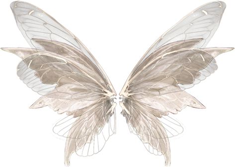 Gardencore Aesthetic, Wing Png, Gold Outfits, Wings Png, Wings Butterfly, Fairycore Grunge, Gold Outfit, White Wings, Cute Fairy