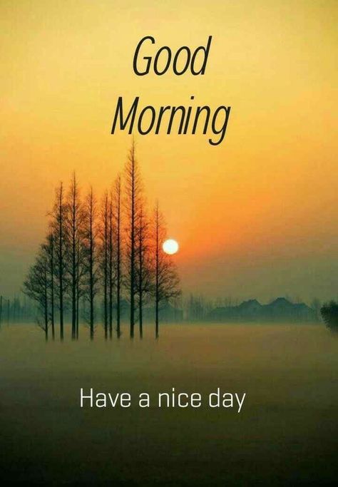 Good Morning For Love, Romantic Good Morning Quotes, Good Morning Sun, Love Good Morning, Good Morning Clips, Good Morning Smiley, Apj Quotes, Morning Msg, Morning Wallpaper