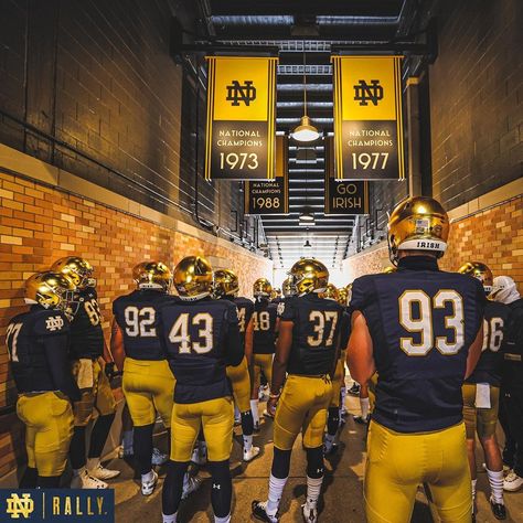 Notre Dame Wallpaper, China Room, Norte Dame Football, Noter Dame, Collage Football, Notre Dame Football, Dream College, Notre Dame University, Sports Images