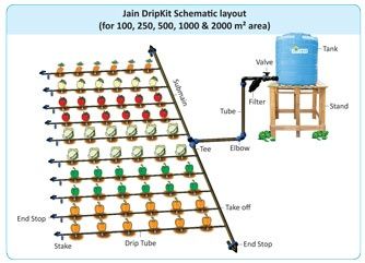 Drip Irrigation System Design, Irrigation System Design, Garden Watering System, Drip System, Drip Irrigation System, Potager Garden, System Design, Water Collection, Veg Garden