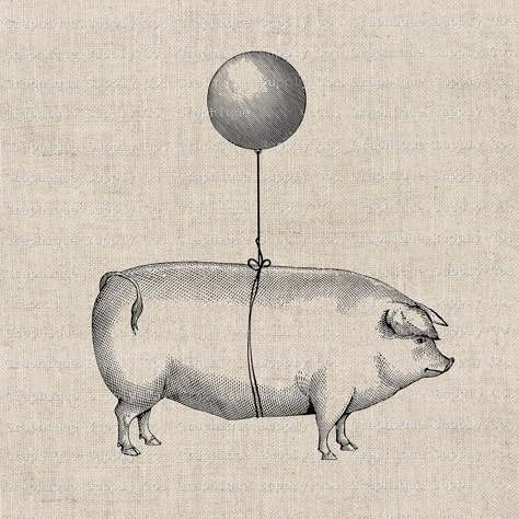 Pig Flying Tattoo, Flying Pig Illustration, Flying Pig Painting, Flying Pig Drawing, Flying Pig Tattoo, Flying Pigs Art, Pigs Flying, Vintage Animal Illustration, Pig Artwork