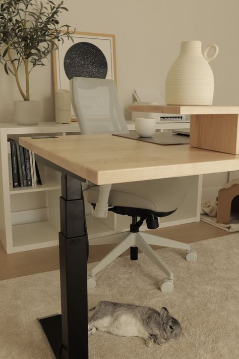 Light and cozy home office featuring a sit and stand desk made of solid wood Office Spaces Ideas, Cozy College Dorm, Beige Desks, Wall Art Creative, Ergonomic Home Office, Bedroom Ideas Cozy, Art Creative Ideas, Cozy Office, New Bedroom Ideas