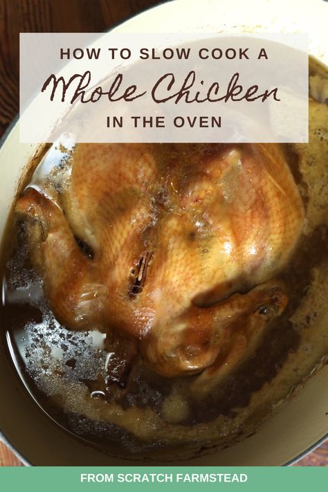 How to Slow Cook a Whole Chicken in the Oven - From Scratch Farmstead Slow Cook Whole Chicken, Whole Chicken In The Oven, Whole Chicken In Oven, Chicken Recipes Slow Cooker, Chicken In Oven, Chicken Chicken Recipes, Cook A Whole Chicken, Chicken In The Oven, Chicken Slow Cooker