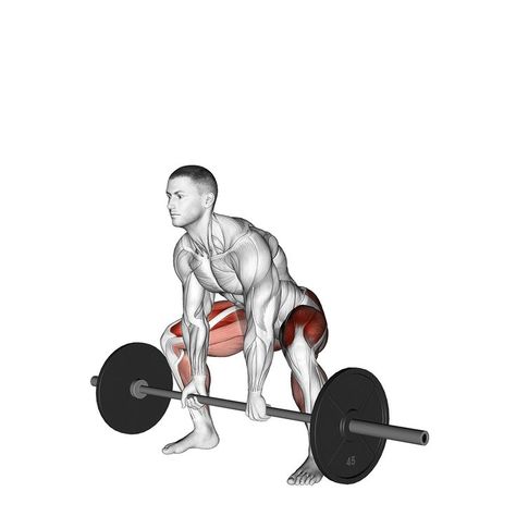 Sumo Deadlift, Standing Calf Raise, Barbell Deadlift, Assisted Pull Ups, Straight Leg Raise, Good Back Workouts, T Bar Row, Oblique Crunches, Warrior Workout