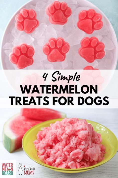 Watermelon Dog Treats, Watermelon Treats, Dog Popsicles, Watermelon Dog, Pet Treats Recipes, Dog Treats Homemade Easy, Easy Dog Treat Recipes, Frozen Dog Treats, Dog Biscuit Recipes