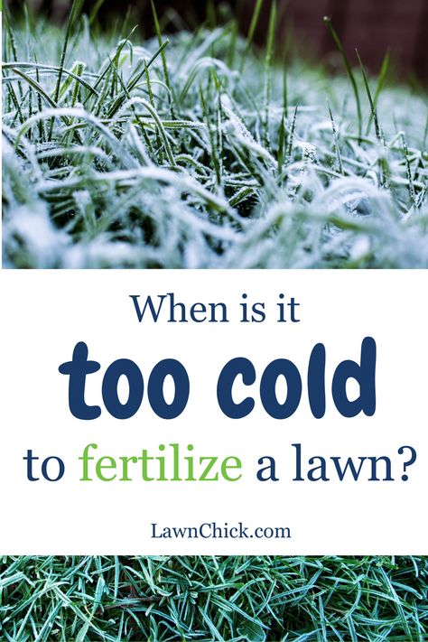 As well as making sure you use a good fertilizer, it's important to correctly time when you apply it to your lawn. It's crucial that you don't apply your lawn fertilizer so late in the fall that it's too cold outside. That's because you shouldn't put down fertilizer when your lawn is dormant. This blog post brings you all the information you need to figure out whether it's too cold to fertilize or whether you can go ahead and give your lawn a fall feeding. Centipede Grass, Lawn Care Schedule, Zoysia Grass, Bermuda Grass, Lawn Fertilizer, Types Of Grass, Grass Roots, Healthy Lawn, Timing Is Everything