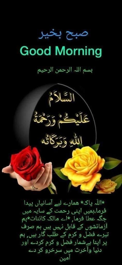 Morning Duas, Wallpaper Good Morning, Good Morning Wish, Sweet Good Morning Images, Subah Bakhair, Good Morning Msg, Lovely Good Morning Images, Morning Wallpaper, Good Day Messages