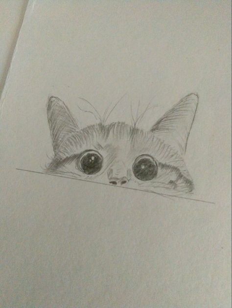 Cats Drawing Sketches, Cute Art Cartoon, Cat Drawing Sketches, Sketch Drawing Ideas, Art Cartoon Drawing, Sketches Cute, Sketch Anatomy, Cat Drawing Ideas, Sketch Dog