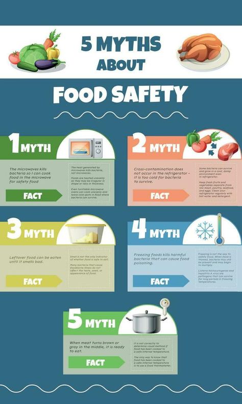 Food Safety Myths Infographics Food Safety Infographic, Food Safety Posters, Safety Infographic, Illustration Advertisement, Family And Consumer Science, Healthy Plan, Safety Awareness, Food Health Benefits, Safety Posters