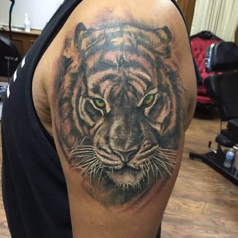 14+ Best Shoulder Tattoo Designs – Tiger Tattoo Ideas | PetPress Tiger Shoulder Tattoo, Tattoo Designs Tiger, Tiger Tattoo Ideas, Shoulder Tattoo Designs, Mens Tiger Tattoo, Flower Shoulder Tattoo, Sailor Tattoos, Cool Shoulder Tattoos, Shoulder Blade Tattoo