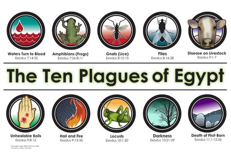 The 10 Plagues Of Egypt, Ten Plagues Of Egypt, 10 Plagues Of Egypt, Egypt Tattoo Design, Exodus 7, Egypt Activities, Egypt Girls, Egypt Crafts, Plagues Of Egypt