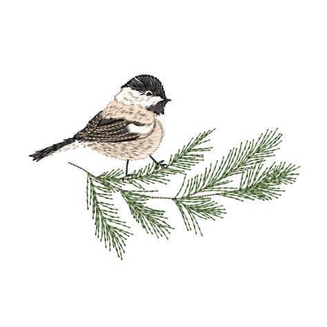 Christmas Machine Embroidery Designs, Holiday Birds, Bird On A Branch, Embroidery Template, Winter Bird, Christmas Bird, Pine Branch, Holiday Tree, Winter Holiday