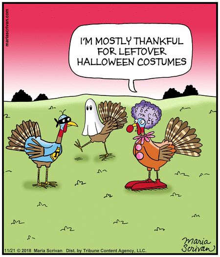 Half Full Comic Strip for November 21, 2018 Thanksgiving Turkey Images, Funny Thanksgiving Pictures, Thanksgiving Jokes For Kids, Turkey Jokes, Sunday Posts, Happy Thanksgiving Funny, Turkey Cartoon, Thanksgiving Jokes, Holiday Jokes