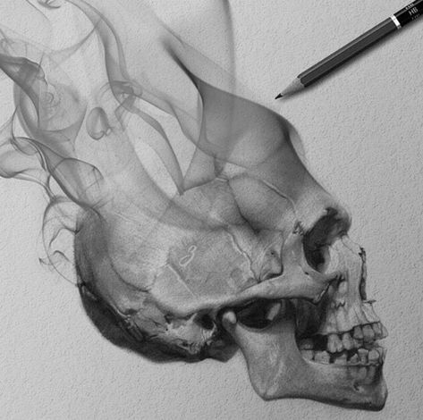 Skull Drawing Tattoo, Skull Art Tattoo, Skeleton Drawings, Skulls Drawing, Cool Pencil Drawings, Tattoo Portfolio, Skull Tattoo Design, Skeleton Art, Skull Drawing