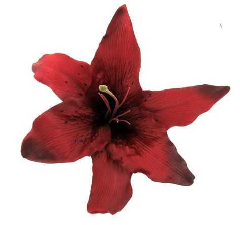 "This silk blend tropical deep burgundy red tiger lily, also named Fire lily, measures a large 7.5 inches across and approx 4 inches tall. It is securely attached on a 1.25 inch locking bale bar pin for a secure hold. A striking accent for tee's to business suit lapel. Spice up your favorite scarf or hat! Use this beautiful flower for home decor such as a curtain tie back or to top a gift. great gift for yourself or a friend... * Please check my store listings for other colors and styles availab Red Tiger Lily, Lily Silk, Fire Lily, Apple Blossom Flower, Red Lily, Red Tiger, Nothing But Flowers, Flower Hair Comb, Burgundy Flowers