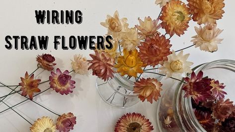 Wiring Straw Flowers floral design Dried Strawflower Craft, Straw Flowers Craft, Dried Flowers Crafts, Straw Flowers, Mom Recipes, Dried Flower Arrangements, Recipe For Mom, Fresh Cut, Dried Flower