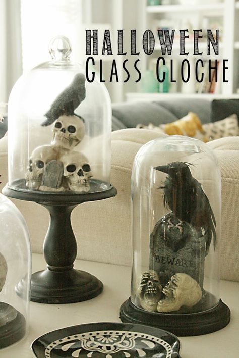 DIY: Halloween Glass Cloche - Darling Darleen | A Lifestyle Design ... Floral Terrarium, Halloween Cloche, Glass Cloches, Diy Halloween Dekoration, Modern Halloween Decor, Diy Halloween Decor, Modern Halloween, Halloween Tattoo, Halloween Tags