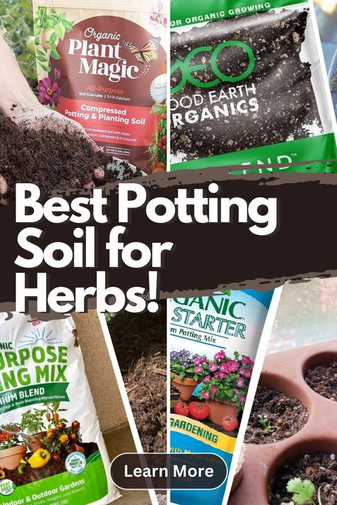 Best potting soil for herbs Growing Herbs Inside, Growing Herbs At Home, Growing Herbs In Pots, Herbs At Home, Best Herbs To Grow, Outdoor Herb Garden, Grow Herbs, Garden Growing, Organic Soil