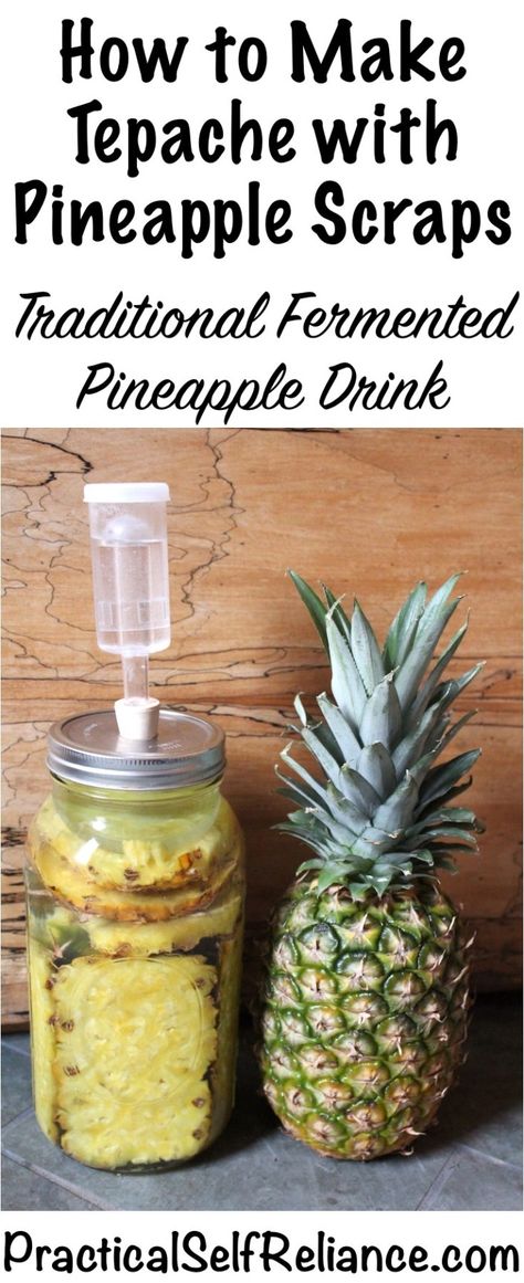 How to Make Tepache with Pineapple Scraps #pineapple #pineapplerecipes #fermentedfood #fermentation  #probiotics #healthygut #homestead #homesteading #selfreliant Pineapple Scraps, Canning Pineapple, Pineapple Drink, Nutrition Logo, Pineapple Water, Homegrown Food, Pineapple Drinks, Fermentation Recipes, Pineapple Recipes